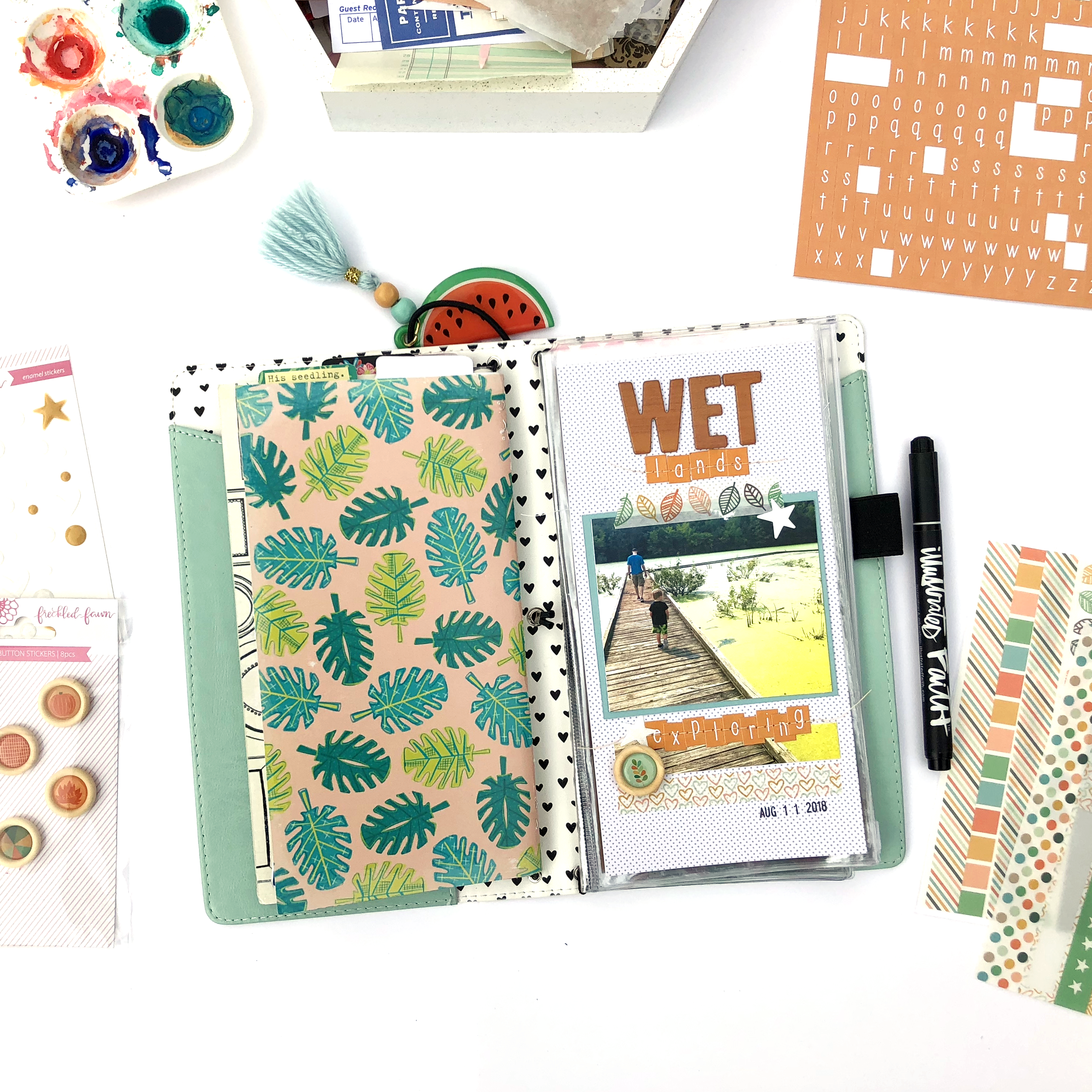 The Wetlands with My Boys